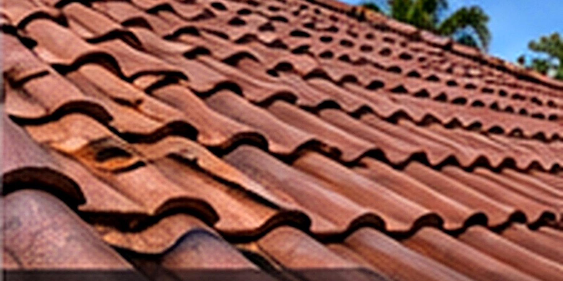 Roof repair in Marlowe Alliance, Orlando, Florida