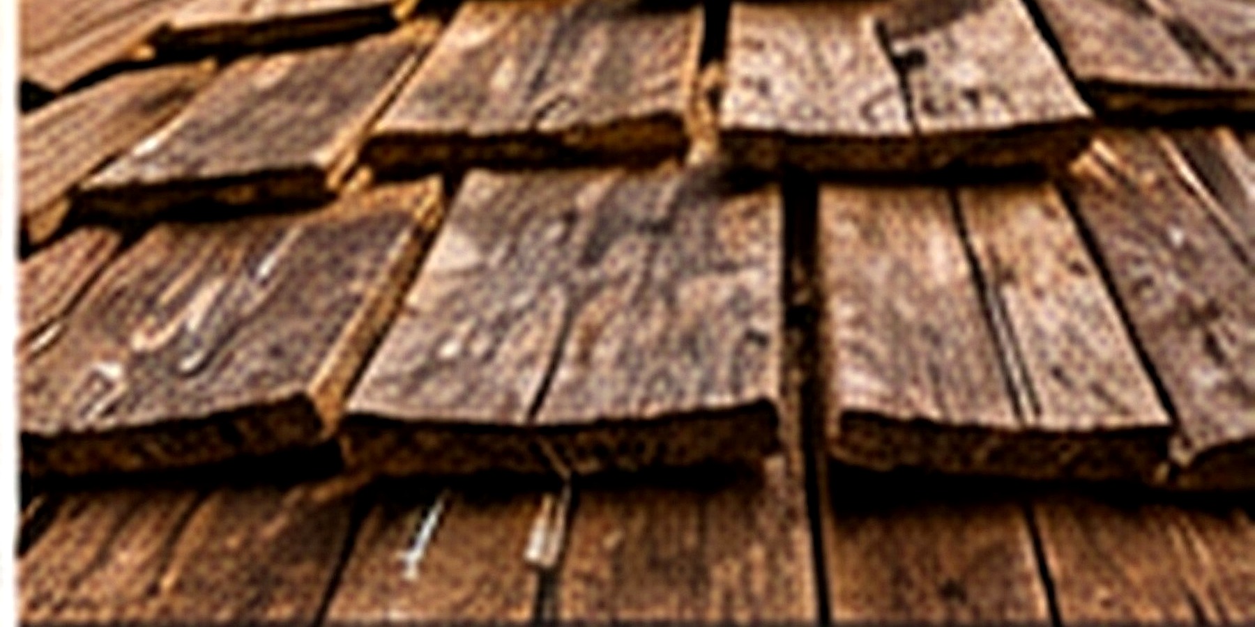 Roof repair in Princeton Silver Star, Orlando, Florida