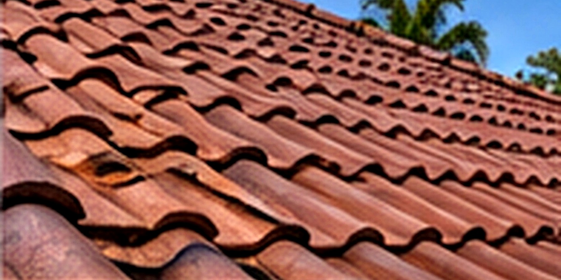 Tile Roof Repair service in Orlando, Florida