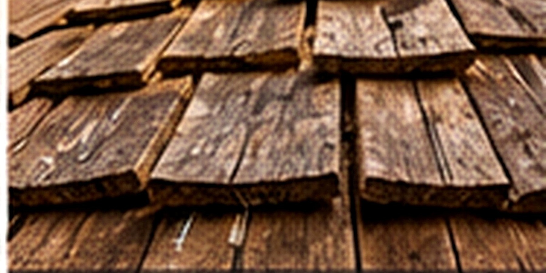 Wood Shake Roof Repair service in Orlando, Florida